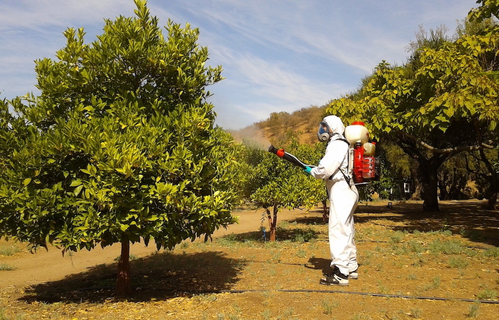 Fumigación de jardines
