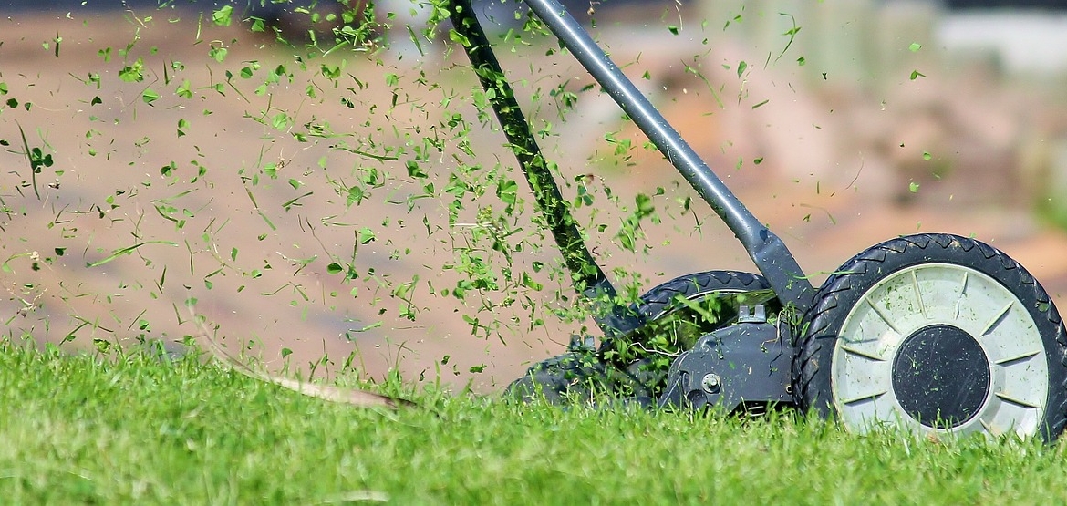 Mantención de jardines