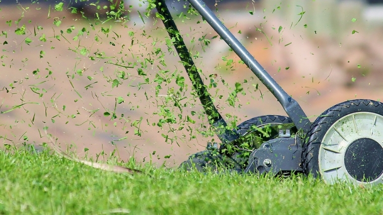 Mantención de jardines