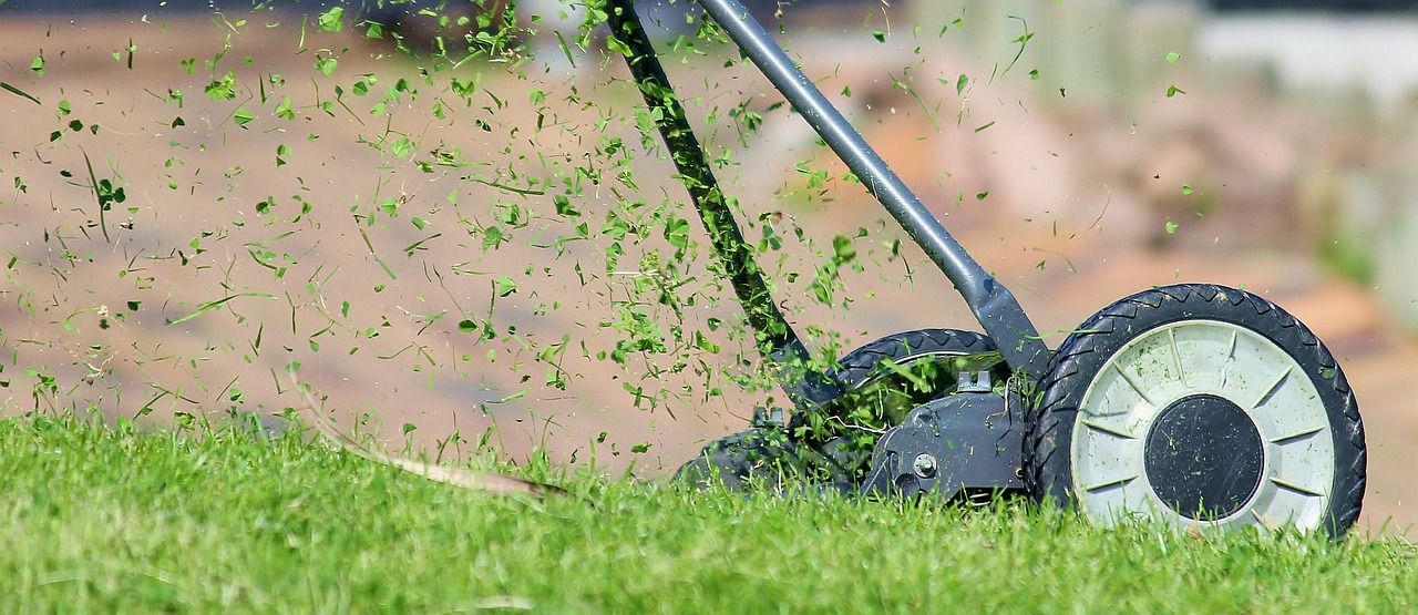 Mantención de jardines